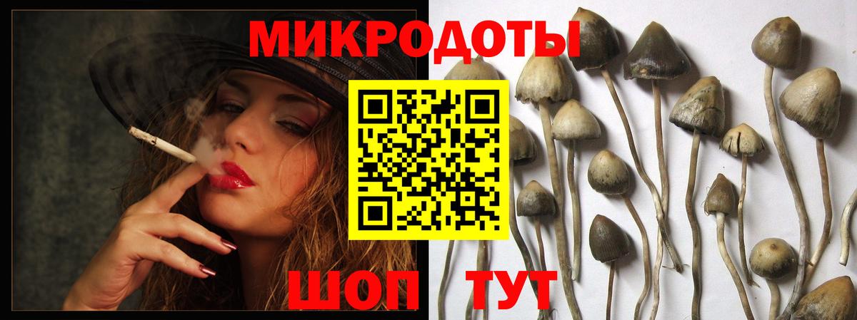 Псилоцибиновые грибы MAGIC MUSHROOMS  Псилоцибиновые грибы ЛСД  Озёры  хочу   Вход с VPN 